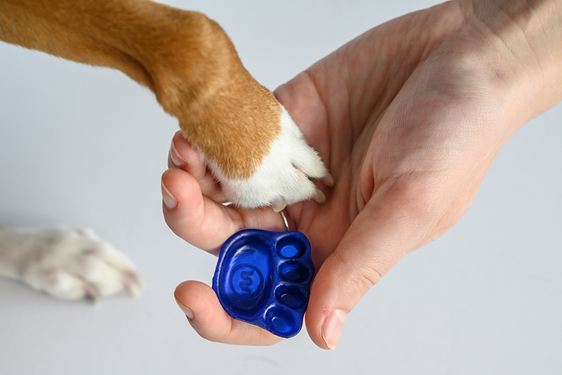 Dog rubber hot sale nail covers