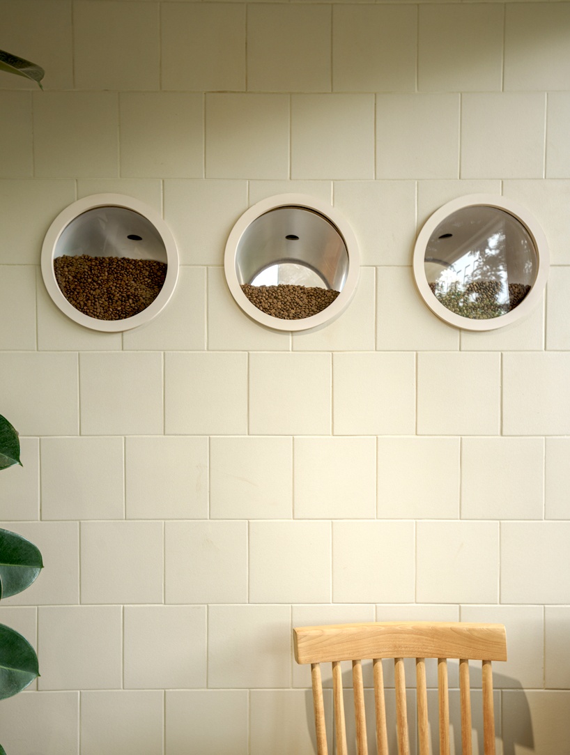 coffee beans cover sunken seating area in single origin chiangmai roastery by flat12x