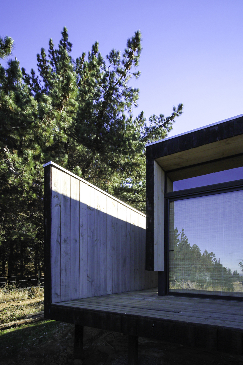 2DM creates two cozy cabins from folded timber structures in puertecillo, chile designboom