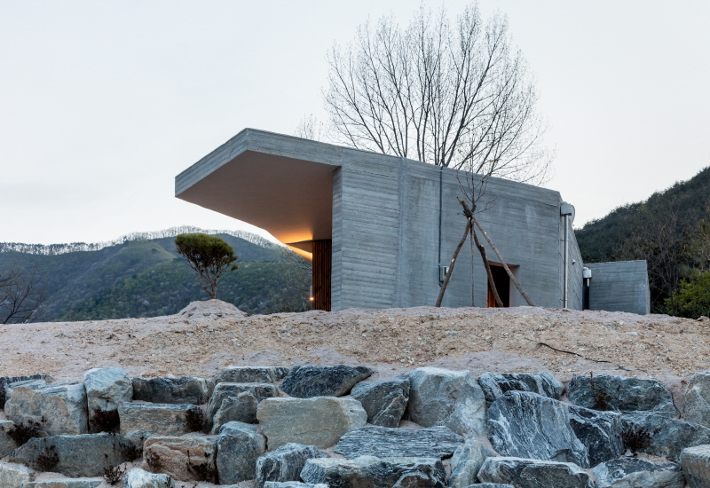 the apple farm house designed by 2m2 architects is inspired by its surrounding natural scenery