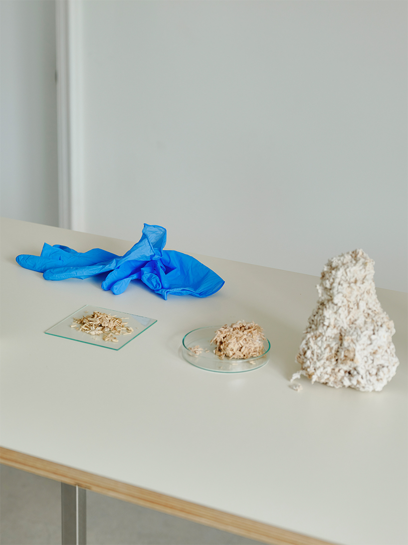 kuo duo creates mushroom mycelium masks to promote biomaterials designboom