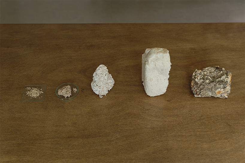 kuo duo creates mushroom mycelium masks to promote biomaterials designboom