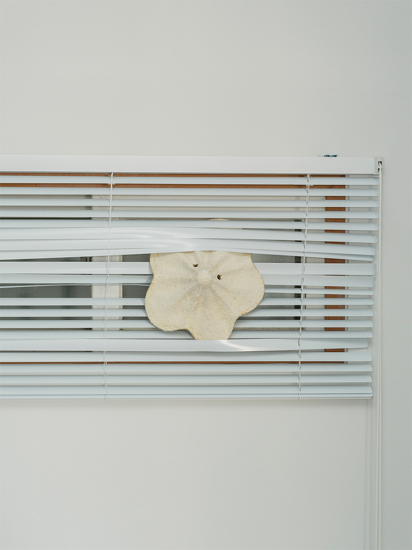 kuo duo creates mushroom mycelium masks to promote biomaterials designboom