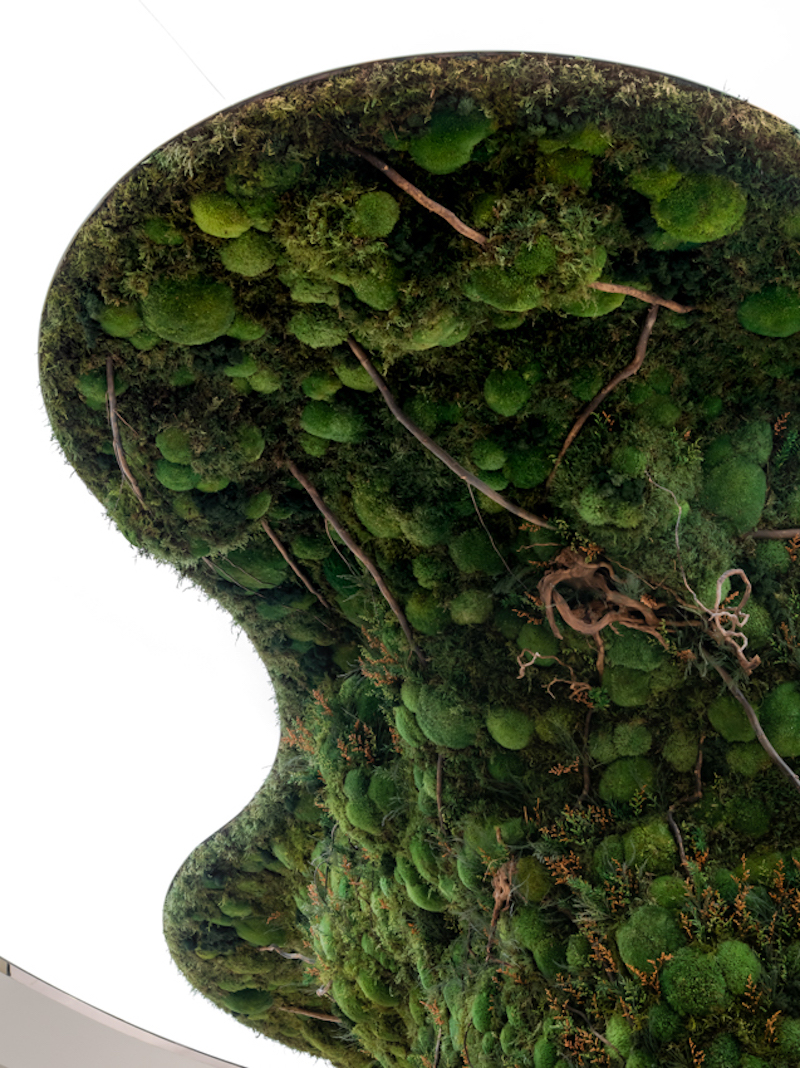 tree installation spacemen