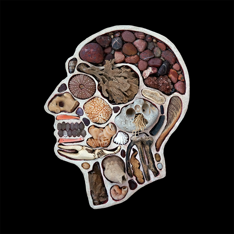 EMnXW's surrealist head sculptures are made of miscellaneous objects