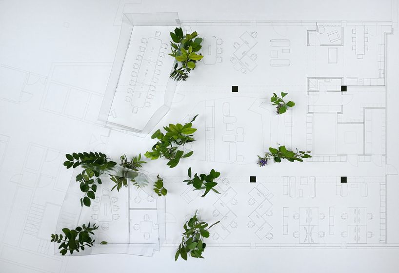 lab5 architects plants a forest in skanska's new budapest headquarters