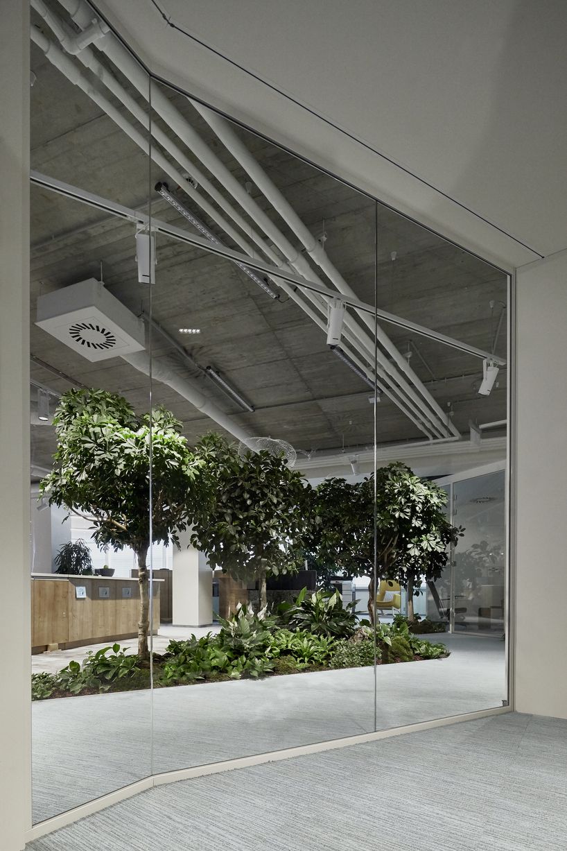 lab5 architects plants a forest in skanska's new budapest headquarters
