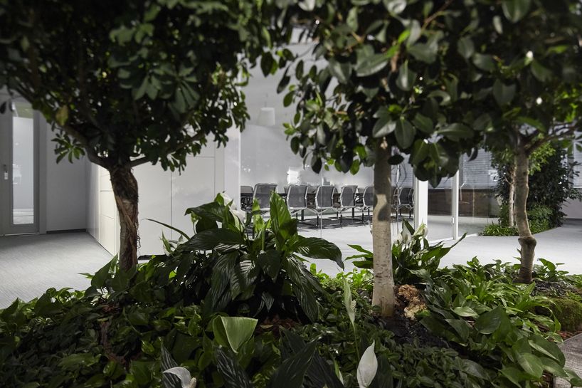 lab5 architects plants a forest in skanska's new budapest headquarters
