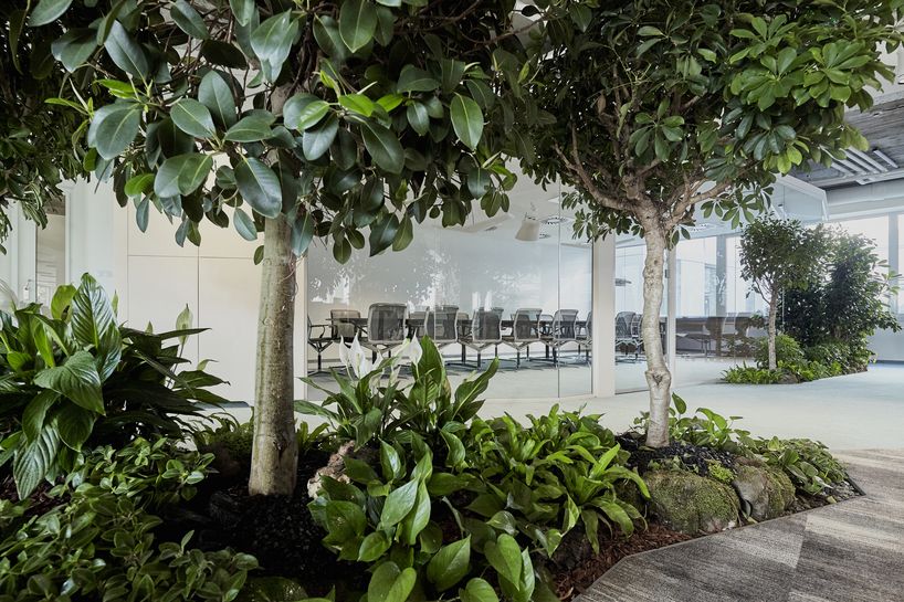 lab5 architects plants a forest in skanska's new budapest headquarters