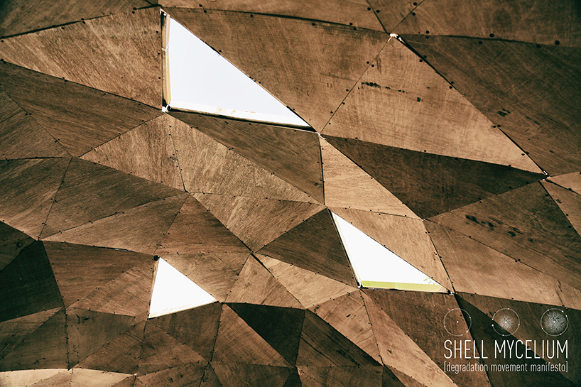 shell mycelium: exploring fungus growth as a possible building block