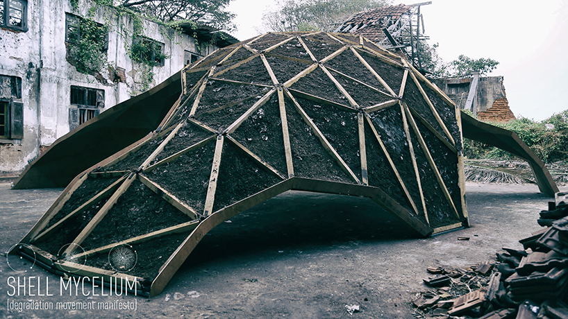 shell mycelium: exploring fungus growth as a possible building block