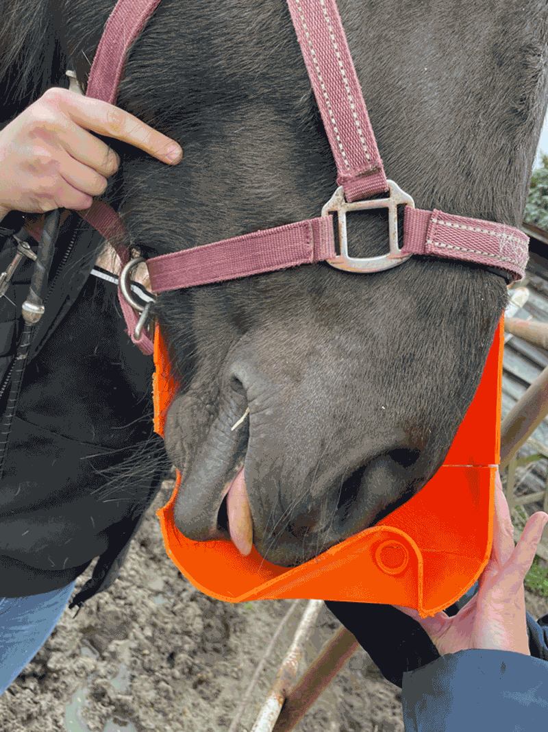2s design develops equihero anatomical inhalation masks shaped by more than human design principles 3