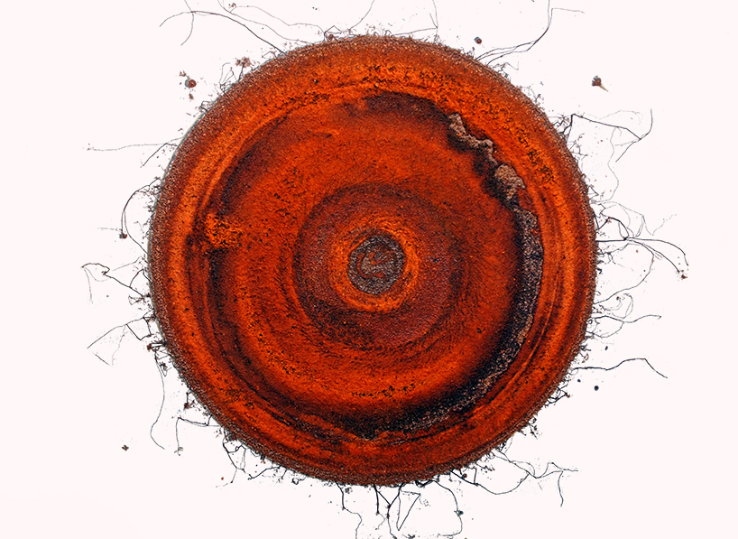 yotam sion's student project is a vase collection that erodes over time