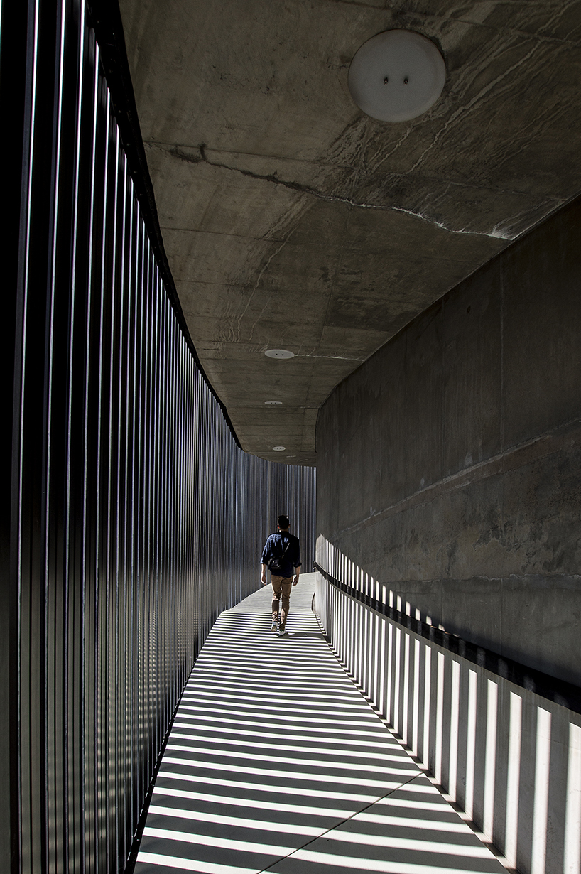 edwin seda's photoset explores south african circa gallery as a portrait canvas for light