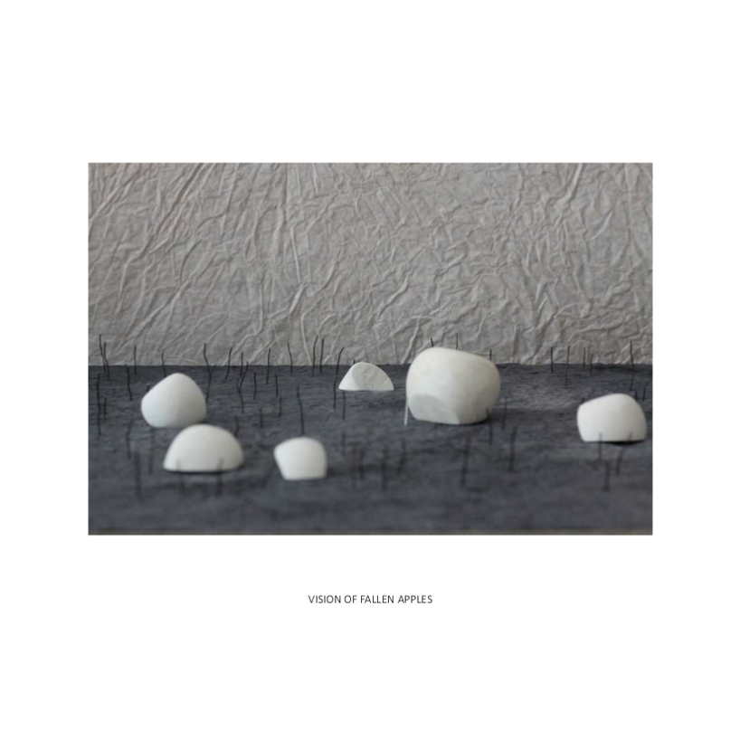 FALLEN APPLES