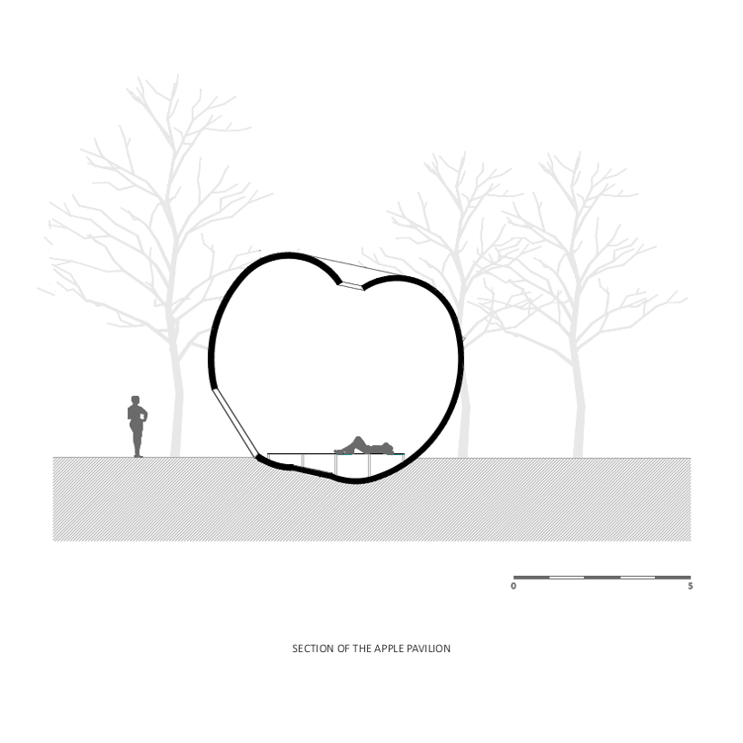 FALLEN APPLES