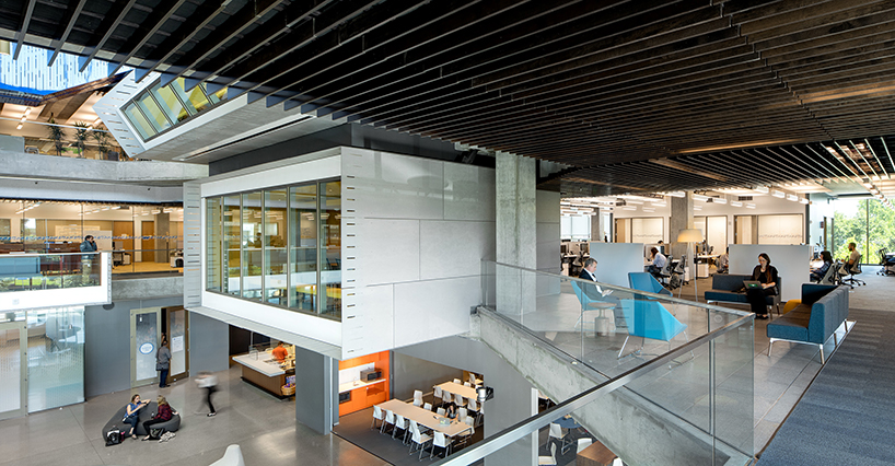 WRNS + clive wilkinson team up to design an innovative workspace in ...