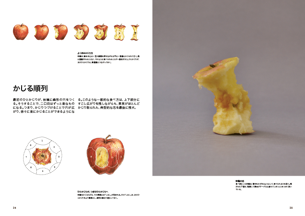 Science of the Secondary: Hirosaki Apple