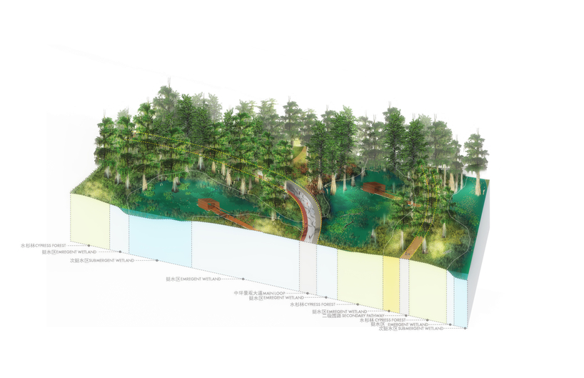 TLS landscape architecture wins sanlin bund ecological park competition in shanghai