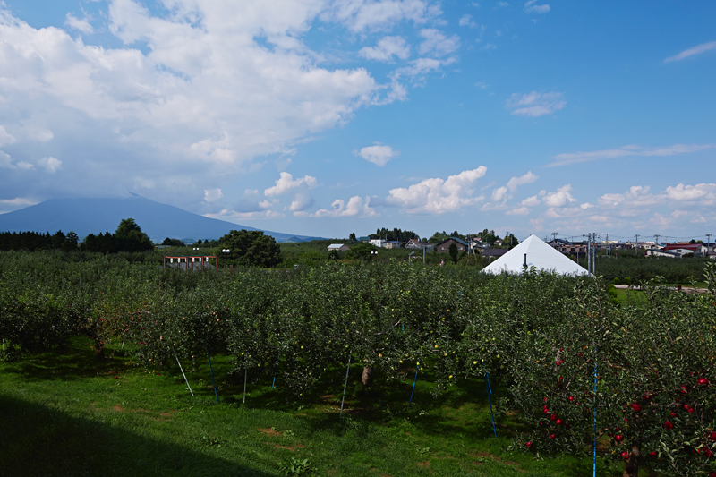 KIMORI, Cider Brewery