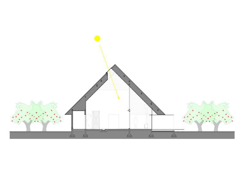 KIMORI, Cider Brewery