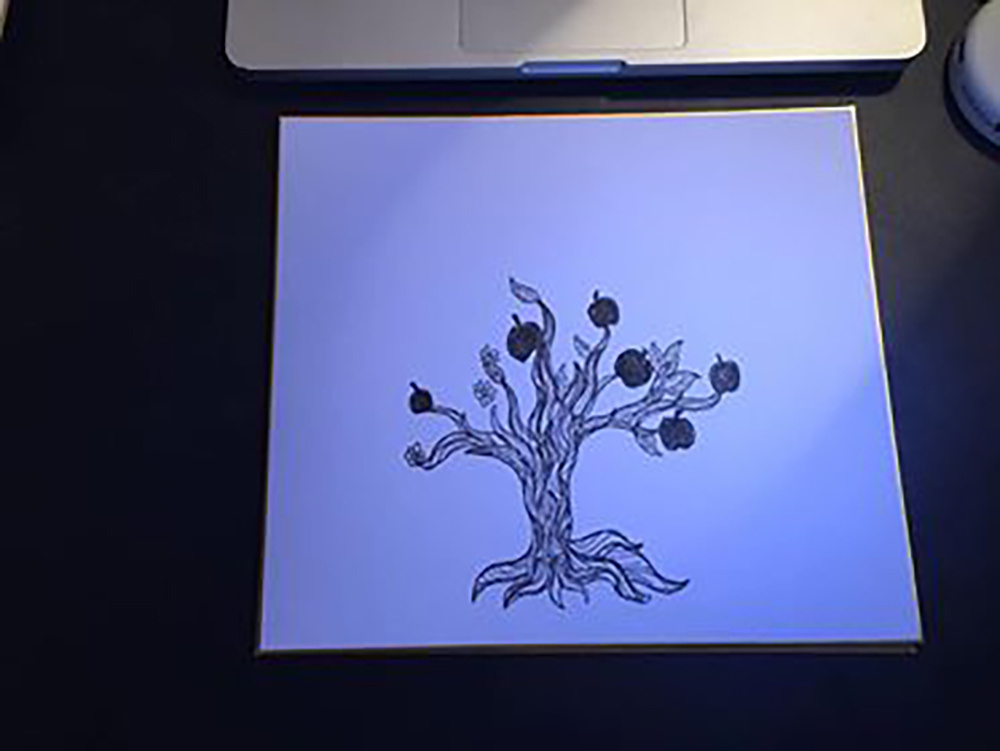 Small movie theater of the apple