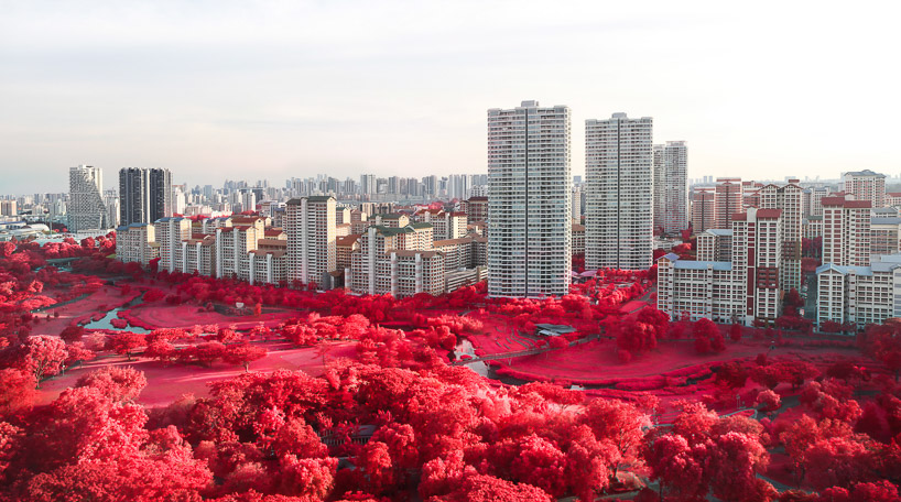floral phantasmagoria: finbarr fallon converts singapore into a surreal dreamscape in scarlet