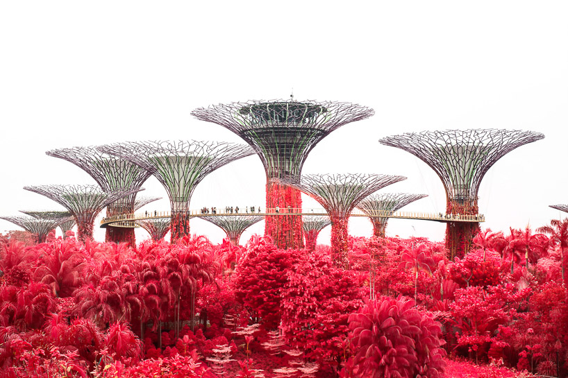 floral phantasmagoria: finbarr fallon converts singapore into a surreal dreamscape in scarlet
