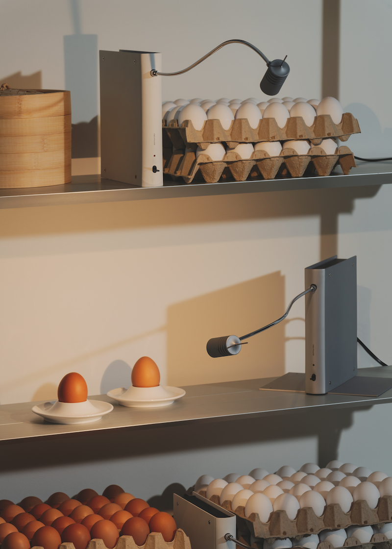 shaped like a book, oscar tusquets' bib luz lamp discreetly integrates into any shelf