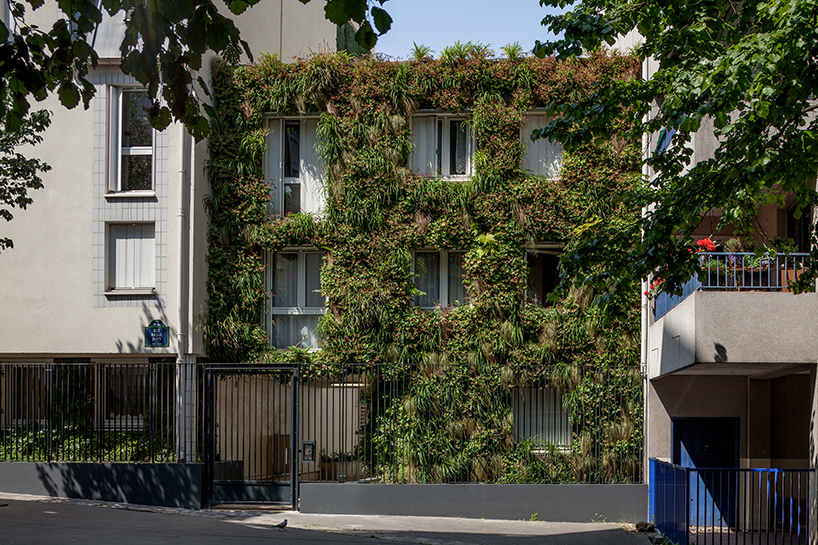 anonyme studio fully covers a parisian building façade with plants