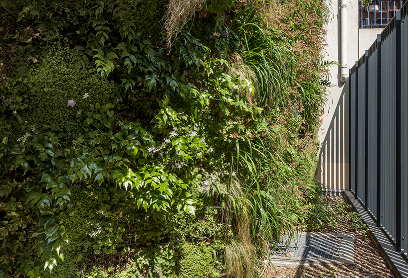 anonyme studio fully covers a parisian building façade with plants