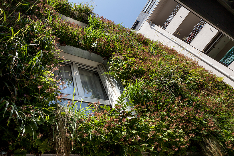 anonyme studio fully covers a parisian building façade with plants
