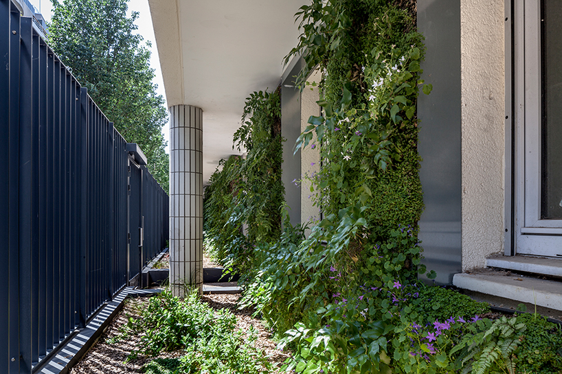 anonyme studio fully covers a parisian building façade with plants