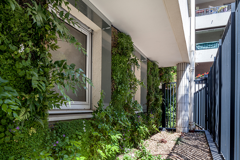 anonyme studio fully covers a parisian building façade with plants