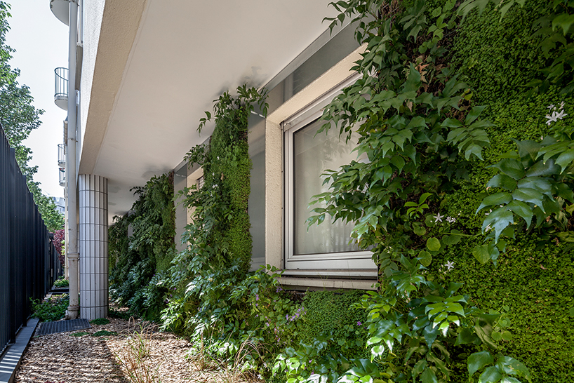 anonyme studio fully covers a parisian building façade with plants