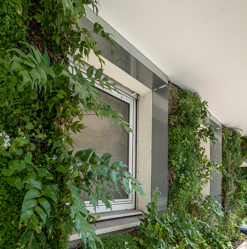 anonyme studio fully covers a parisian building façade with plants