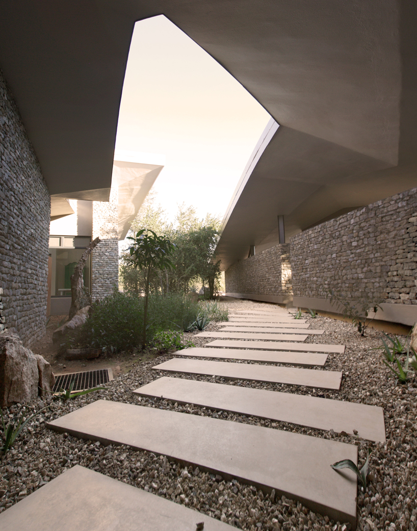 get up-close and personal with south african wildlife at the architects of justice-designed retreat