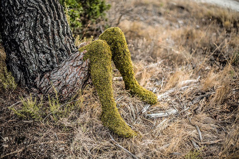 monsieur plant 's human nature, an evolution of a human being into a tree