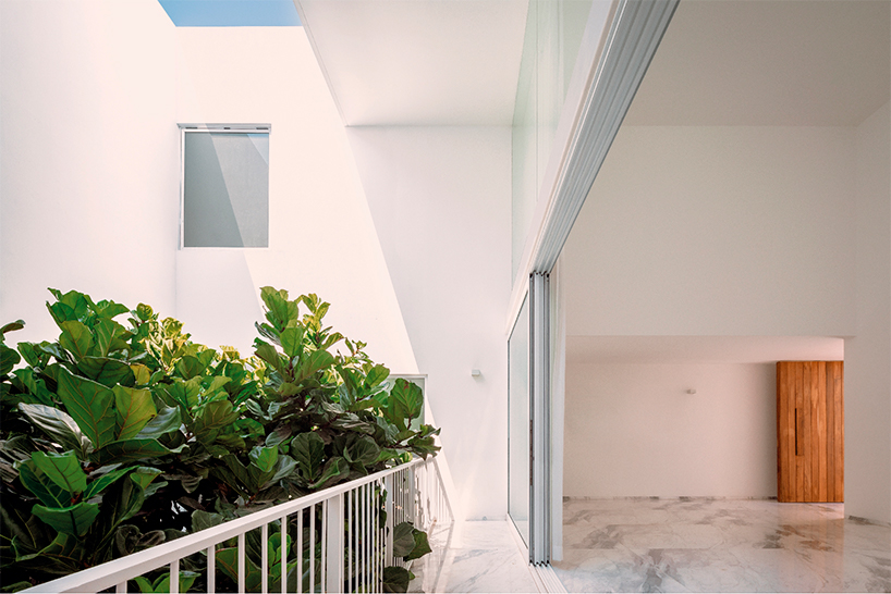 cut out patios add green pops into cota paredes arquitectos' la piedad house in mexico