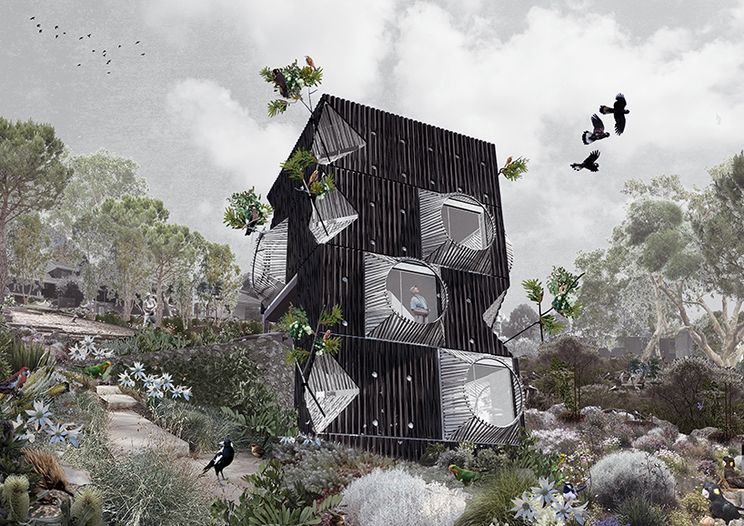 an ornithologist's dream: this home is entirely engineered around bird watching