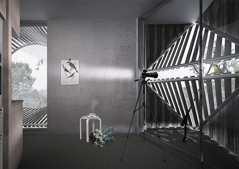 an ornithologist's dream: this home is entirely engineered around bird watching