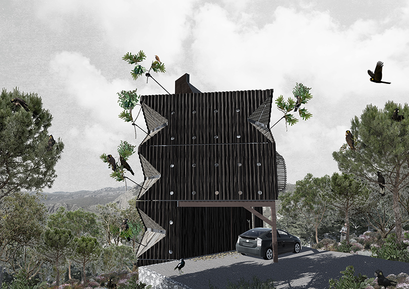 an ornithologist's dream: every aspect of this home is engineered around bird watching