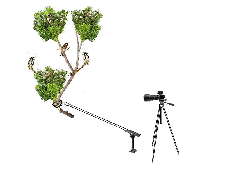 an ornithologist's dream: this home is entirely engineered around bird watching