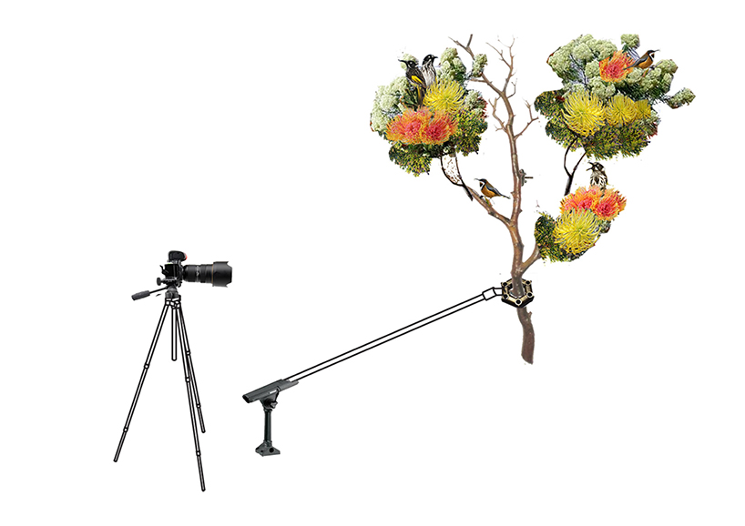 an ornithologist's dream: this home is entirely engineered around bird watching