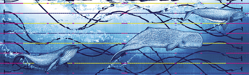 SILO + kraaijvanger architects' whales welcome guests to rotterdam's aquatics center