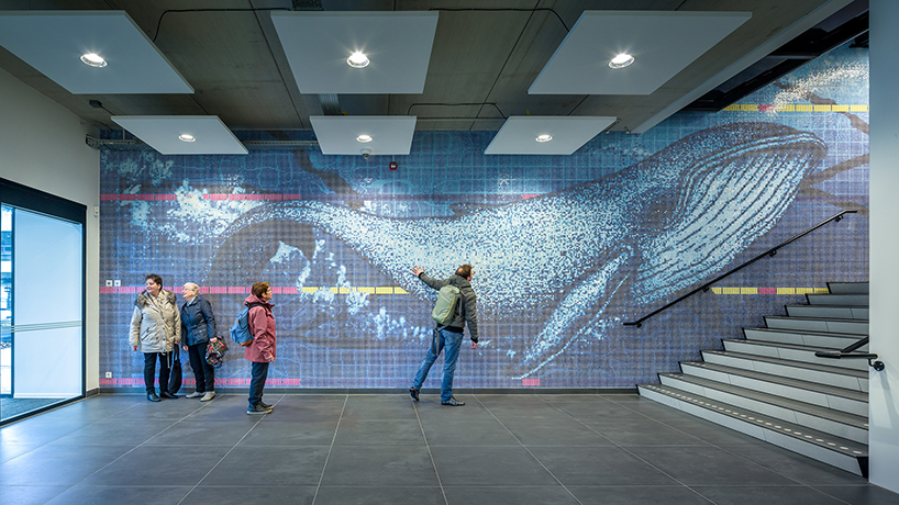 SILO + kraaijvanger architects' whales welcome guests to rotterdam's aquatics center