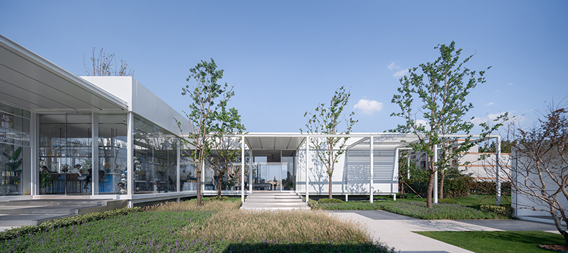 regeneration free spring morning suzhou 1