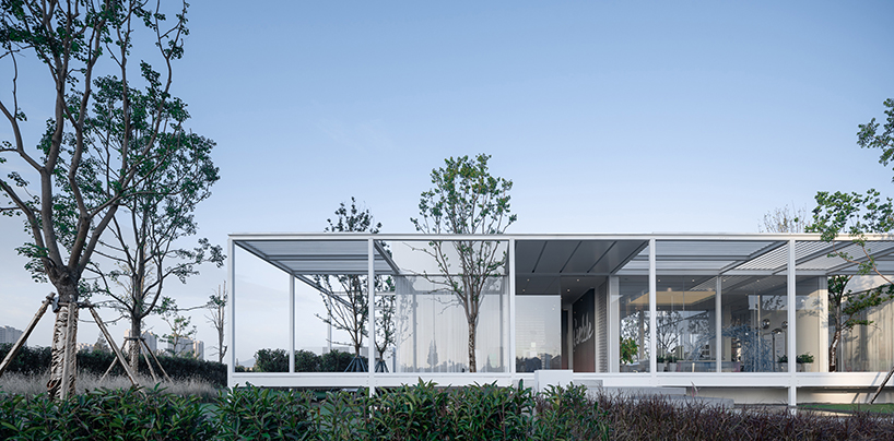 regeneration free spring morning suzhou 8