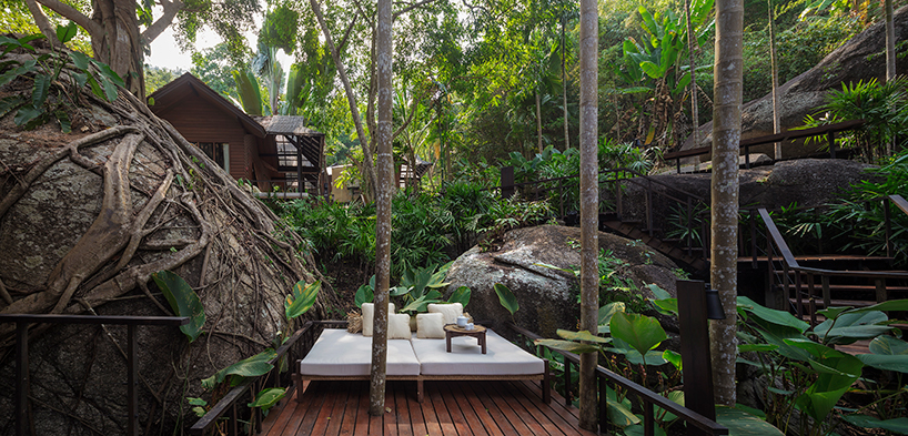 tropical rainforest envelops renovated spa resort in thailand with dense branches