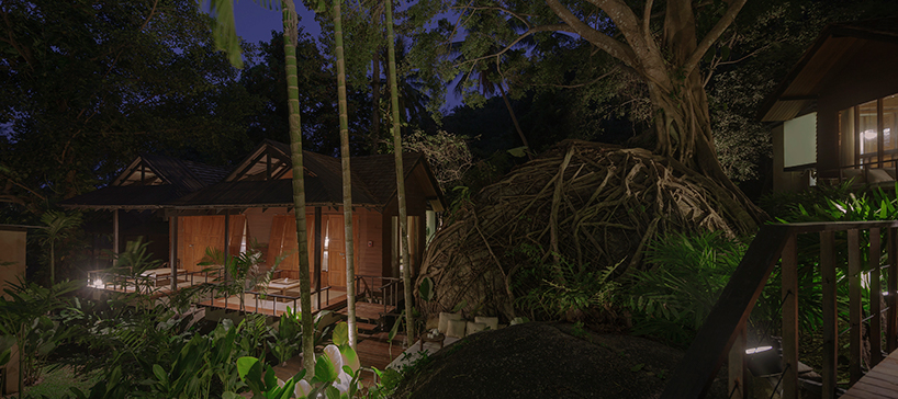rainforest surrounds spa resort renovated in thailand with dense tree branches